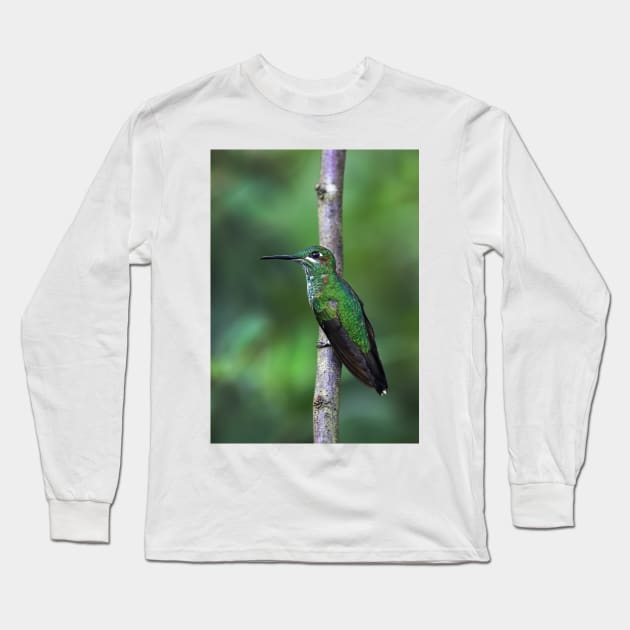 Green-Crowned Brilliant Hummingbird - Costa Rica Long Sleeve T-Shirt by Jim Cumming